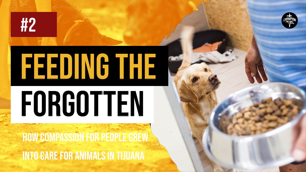 Feeding the Forgotten_ How Compassion for People Grew into Care for Animals in Tijuana