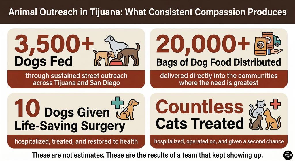 Feeding the Forgotten: How Compassion for People Grew into Care for Animals in Tijuana 2 The Impact by the Numbers
