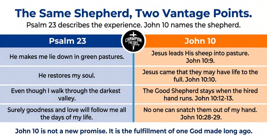 John 10 Explained and What It Means for Believers Today 3 John 10 and Psalm 23 Side by Side