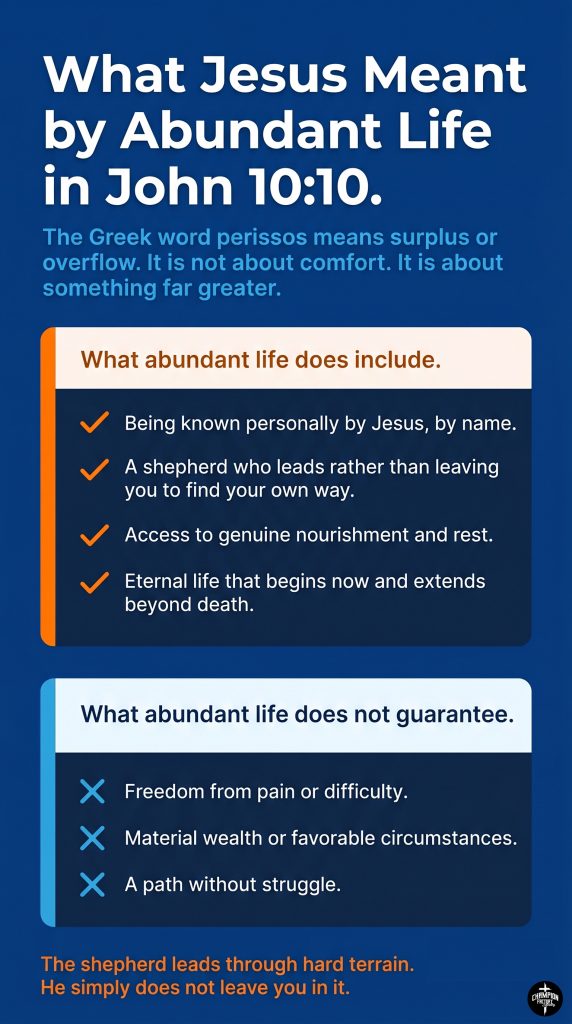 John 10 Explained and What It Means for Believers Today 2 What _Abundant Life_ in John 10_10 Actually Means