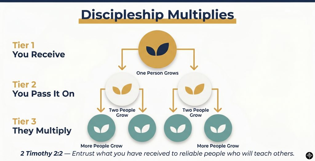 What Christian Discipleship Is and How It Transforms Lives 3 How Discipleship Multiplies