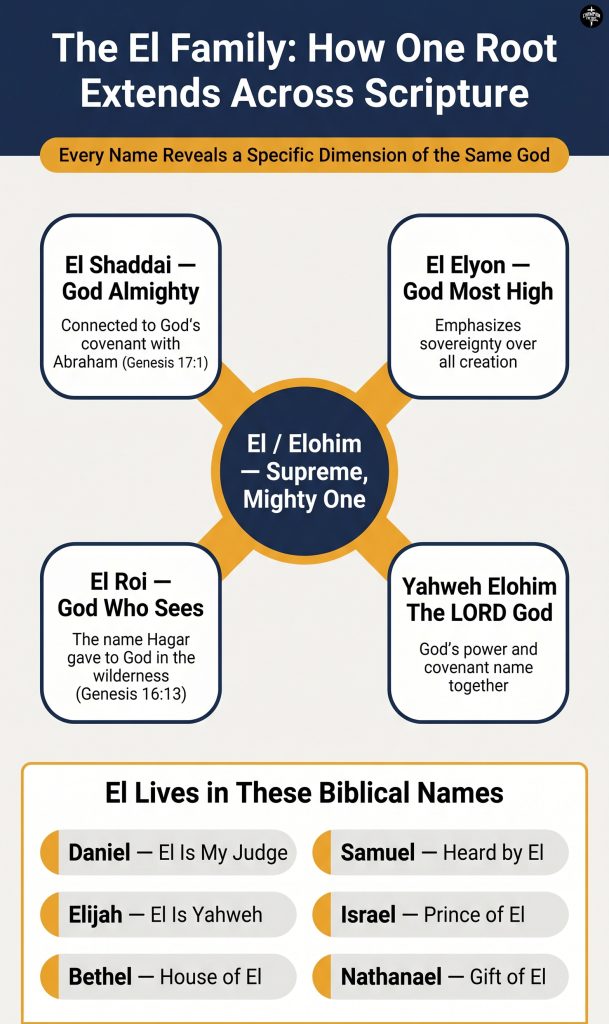 What Elohim Means in the Bible and What It Reveals About God 3 The El Family — How One Root Extends Across Scripture