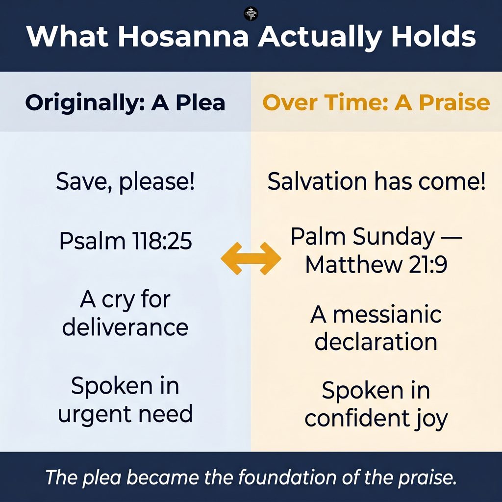 What Hosanna Means in the Bible and Why It Matters 2 Two Meanings, One Word