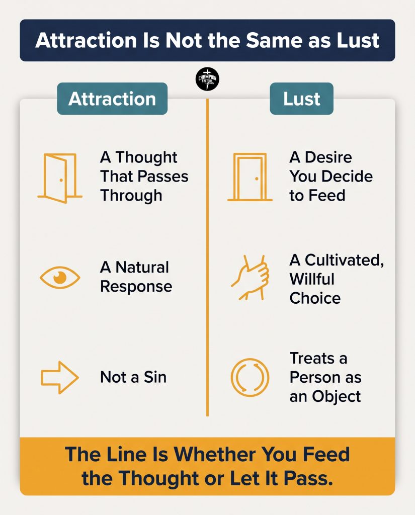 What the Bible Says About Lust and How Christians Can Guard Their Hearts 1 Attraction Versus Lust
